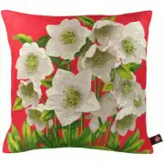 Helleborus Red  Cushion