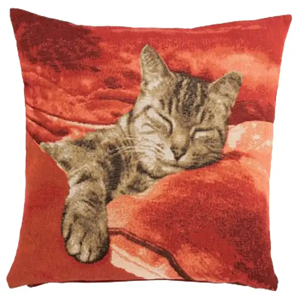 Sleeping Cat Red I Cushion - 19 in. x 19 in. Cotton by Charlotte Home Furnishings