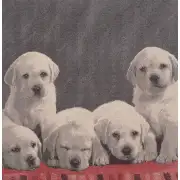 Puppy Loves Stretched Wall Tapestry