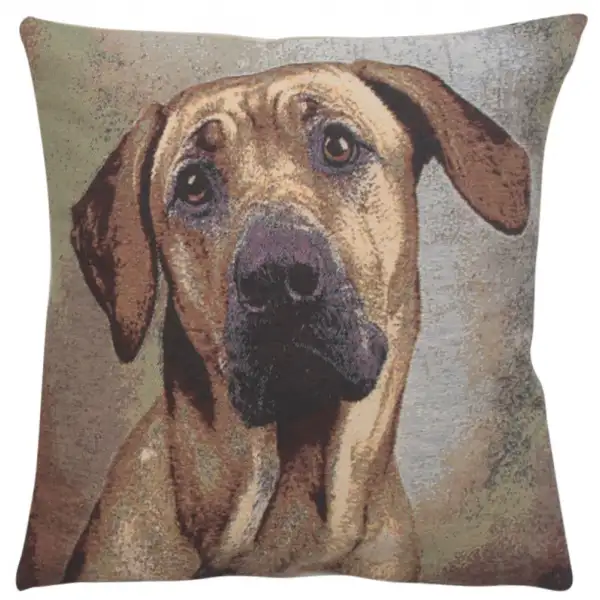 Soft Eyes II Decorative Floor Pillow Cushion Cover