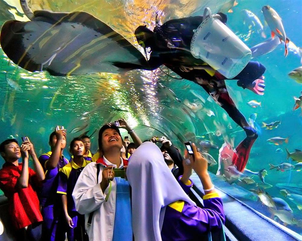 Chiang Mai Zoo Aquarium