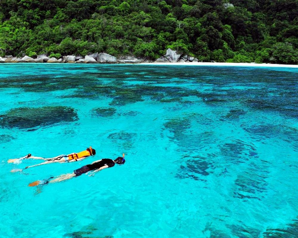 similan day trip from phuket