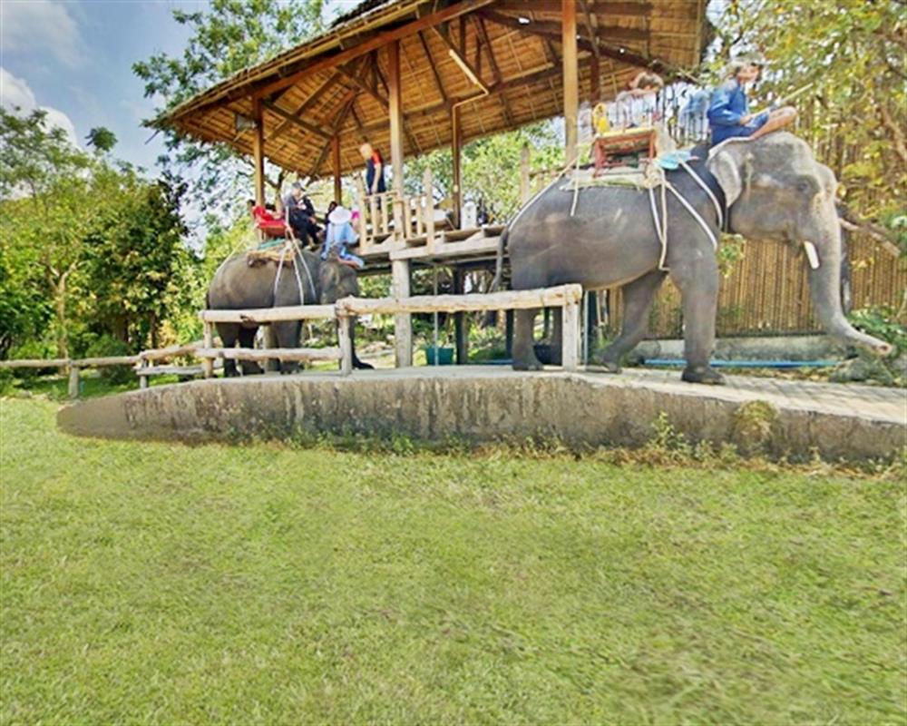 hua hin safari & adventure park ticket price