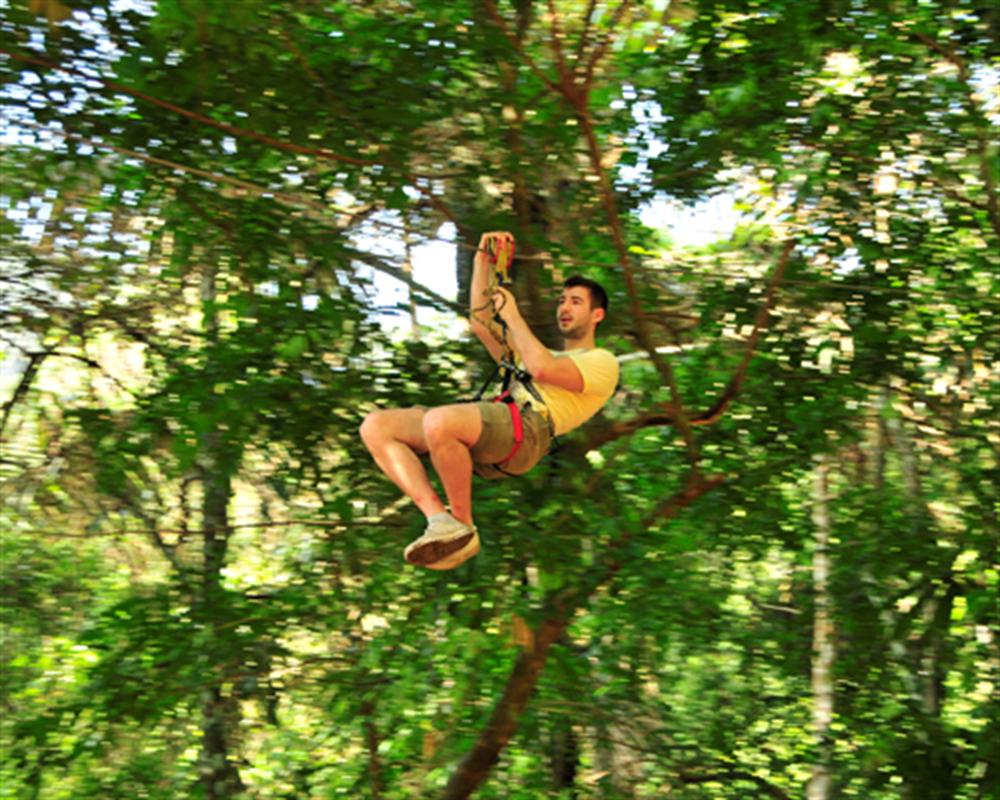 Tree Top Adventure Park Krabi 