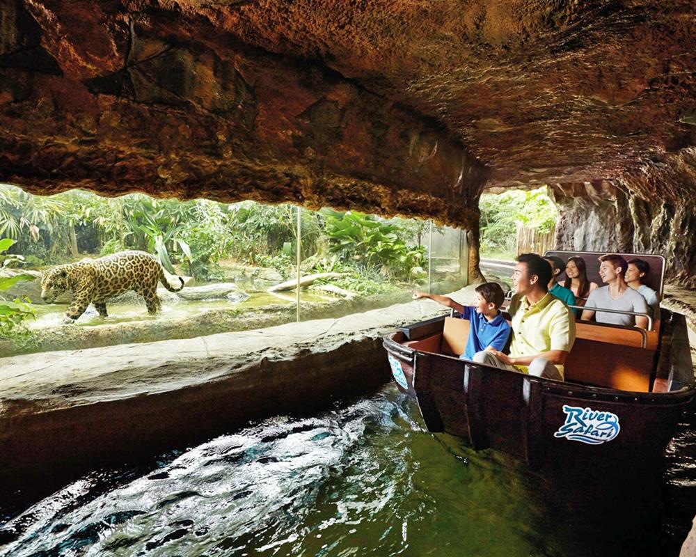 river safari renovation