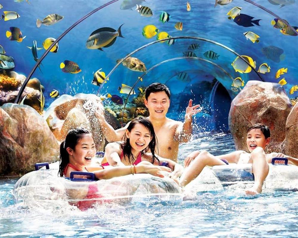 Adventure Cove Waterpark Day Pass