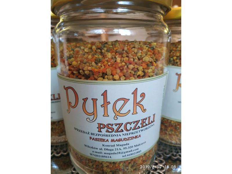Pyłek