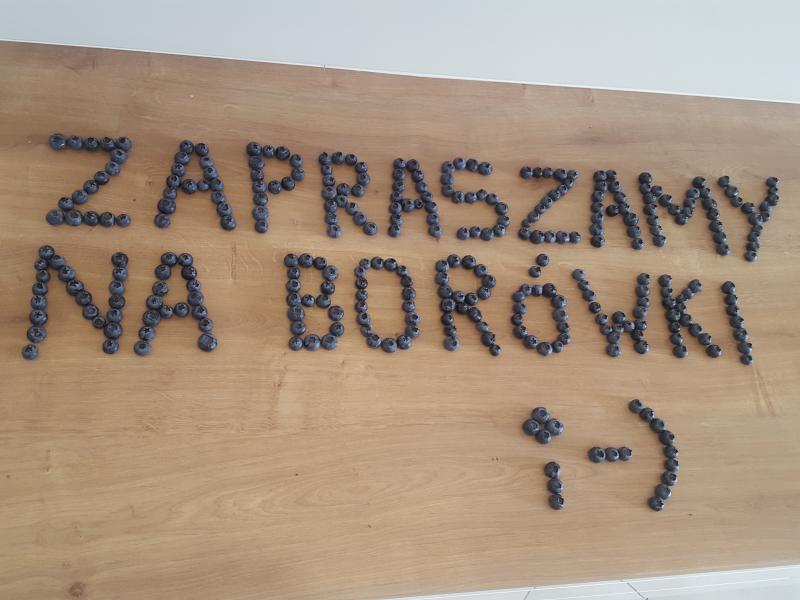 Borówka amerykańska OWOCE — zdjęcie 3