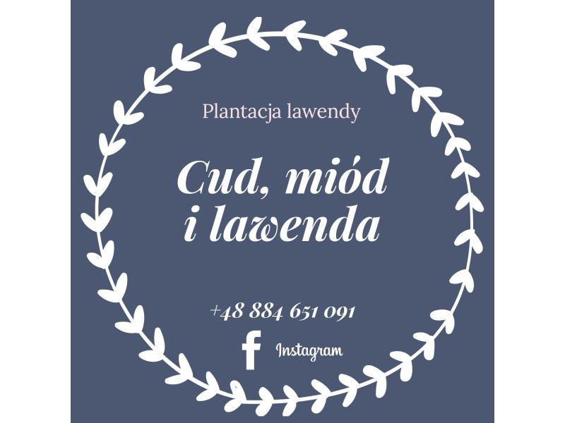 Syrop z kwiatu bzu — zdjęcie 2