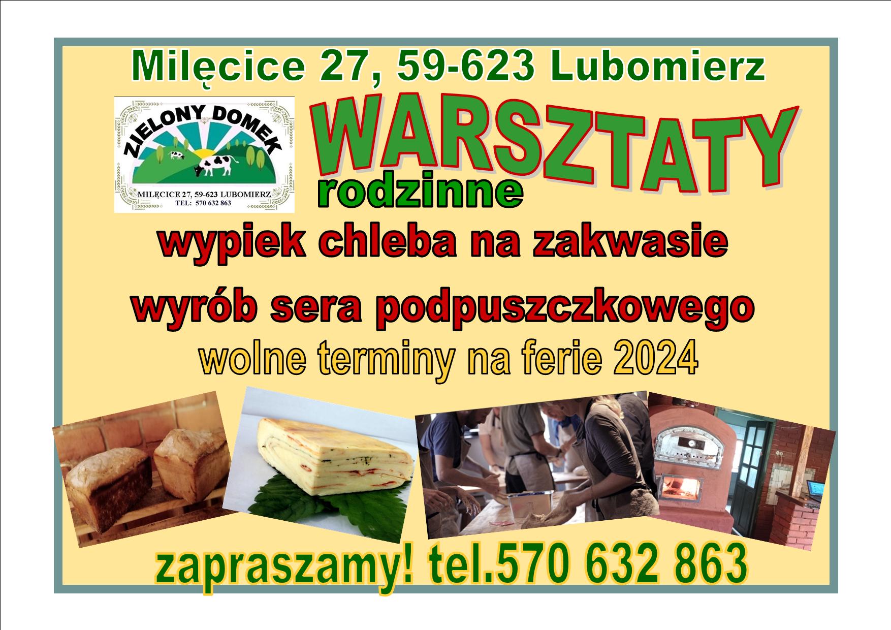 warsztaty 2024