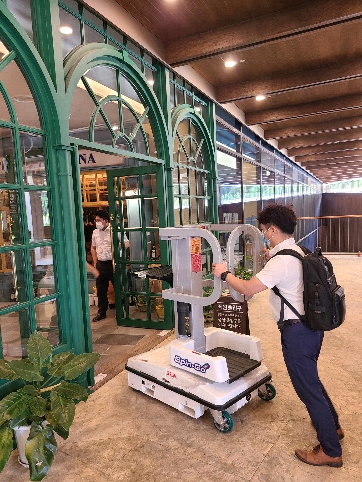 AERIAL PLATFORM; LUI MINI P.A SPINGO
