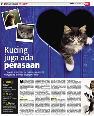 Kucing juga ada perasaan  KLiK