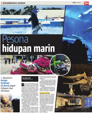 Pesona Hidupan Marin Klik