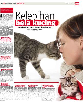 Kelebihan bela kucing  KLiK