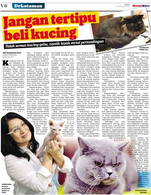 Jangan tertipu beli kucing  KLiK