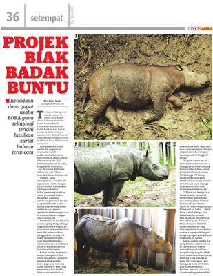 Sumatera kesan kepupusan badak sumbu