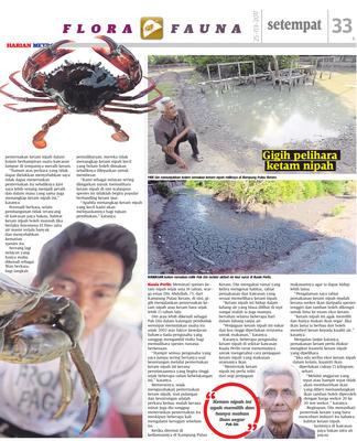 Nipah ketam Penternakan Ketam