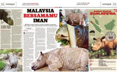 Badak Sumbu Sumatera Di Malaysia Surat Khabar