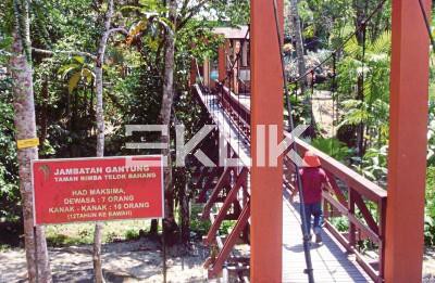 Bahang teluk taman rimba Penang Butterfly