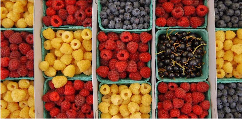 Food Market Platform
