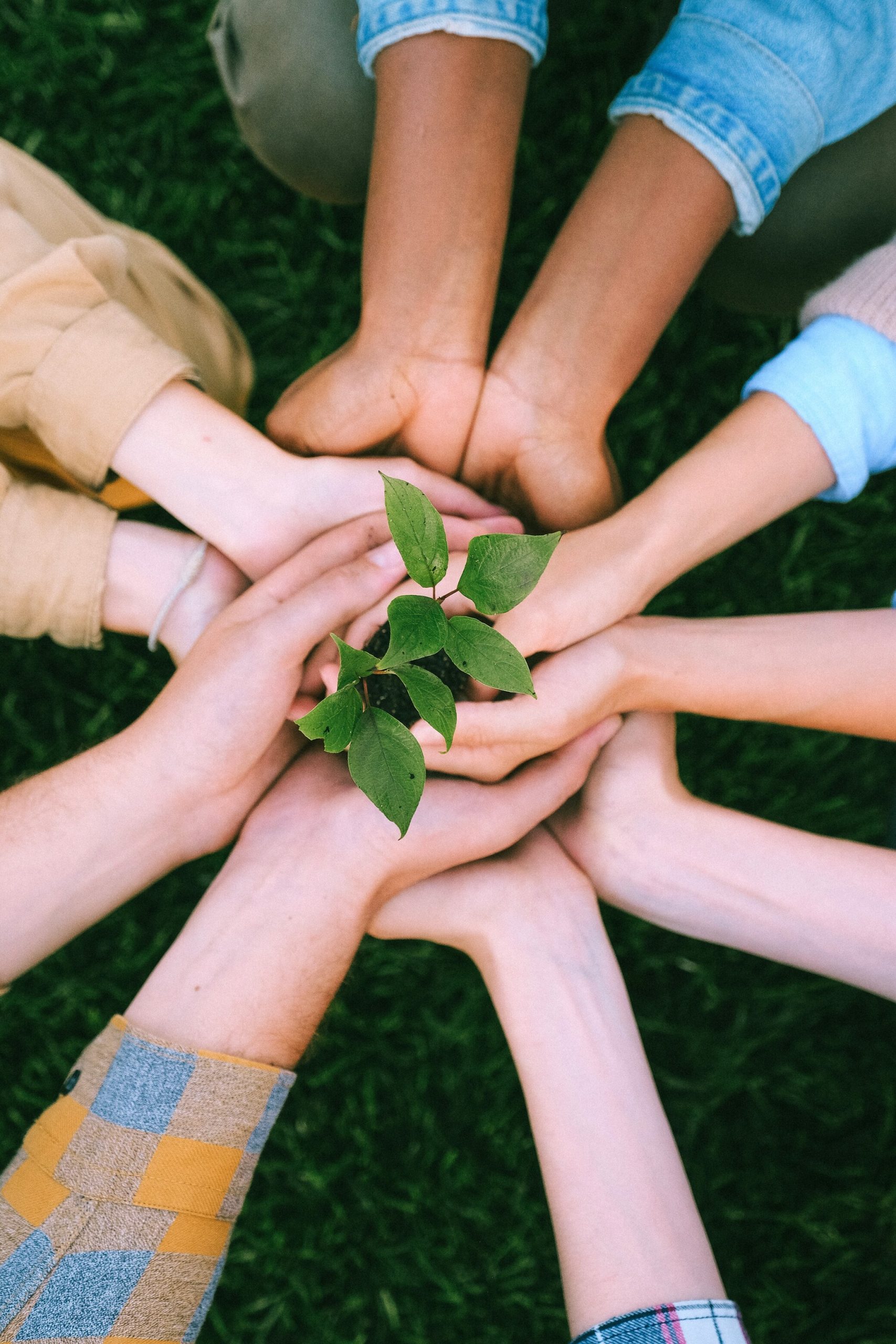 Environmental Project Crowdfunding Platform