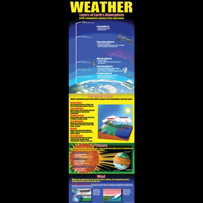 Ecosystems Colossal Poster
