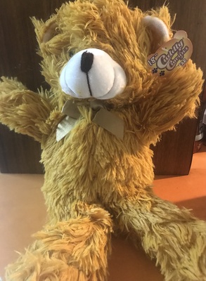 CUDDLY COUSINS BEAR