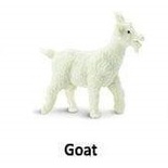Goats White