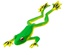 FLYING TREE FROG