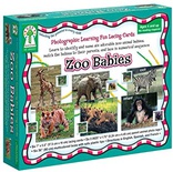 Learn to identify and name six zoo animal babies, match the babies to their parents, and lace in numeral sequence