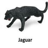 Jaguar black