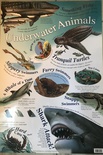 UNDERWATER ANIMALS