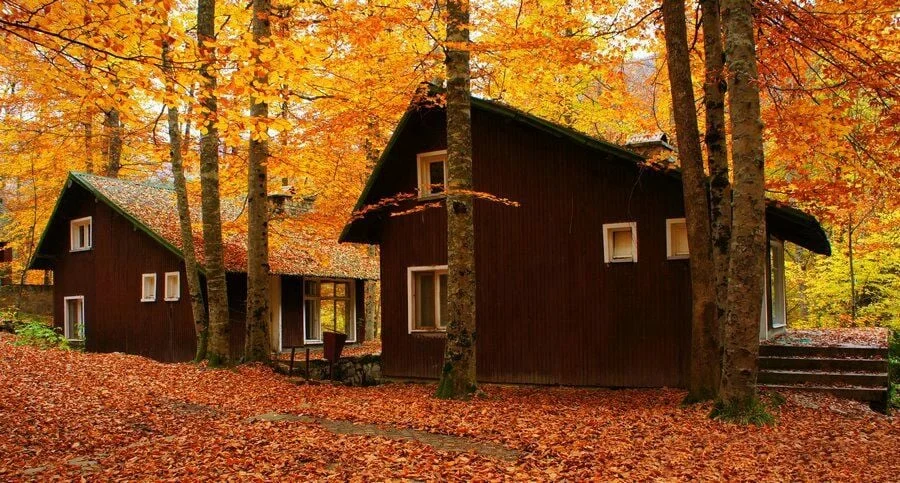 Habitat Mesire Bungalov Evler