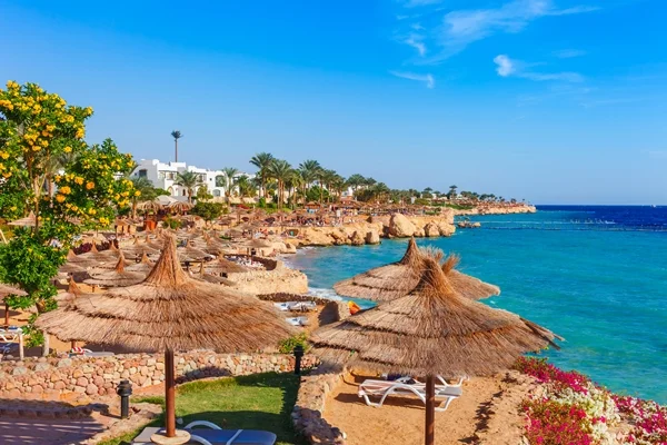 Sharm El Sheikh Kızıldeniz Rotası Thy Ile 5 Gece