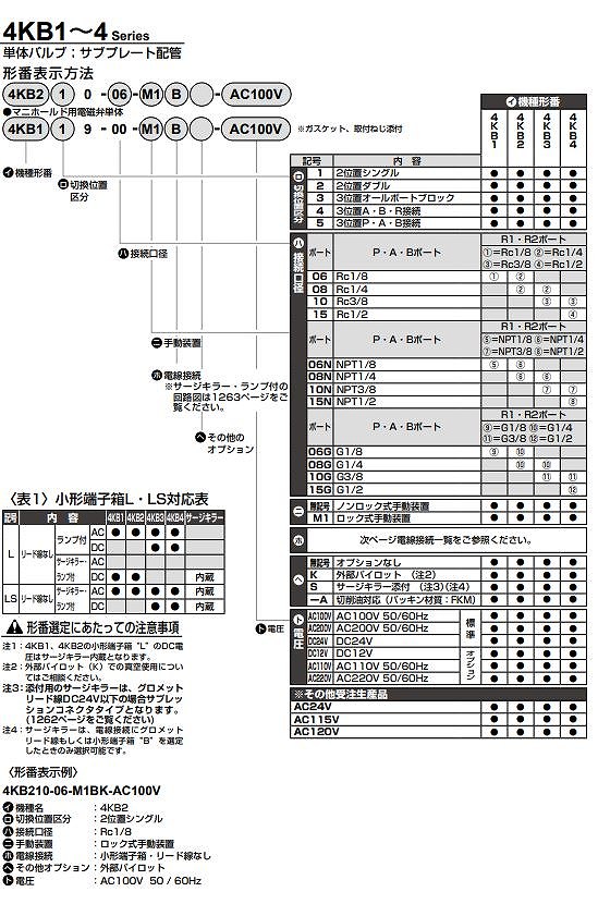 4KB1*/4KB2*形