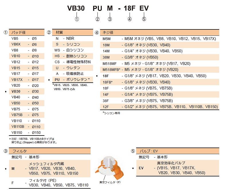 BL/LF/VB形