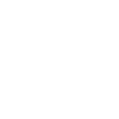 Kiwibank logo