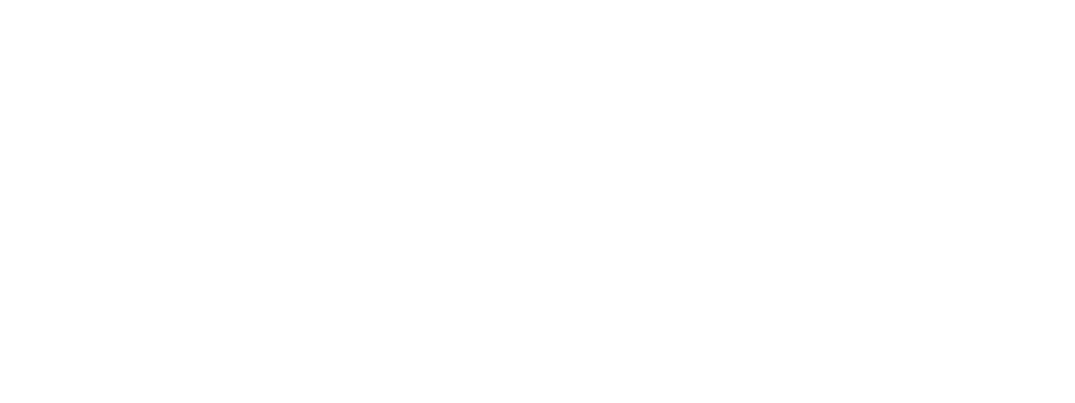 Boardertown logo