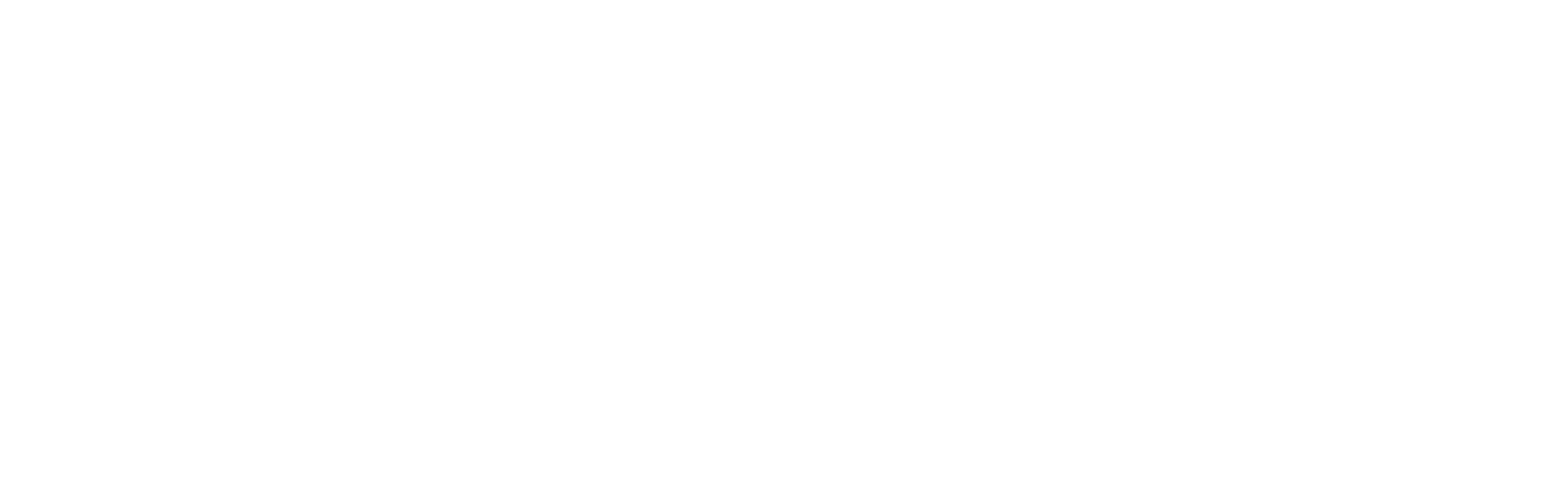 Noel Leeming logo