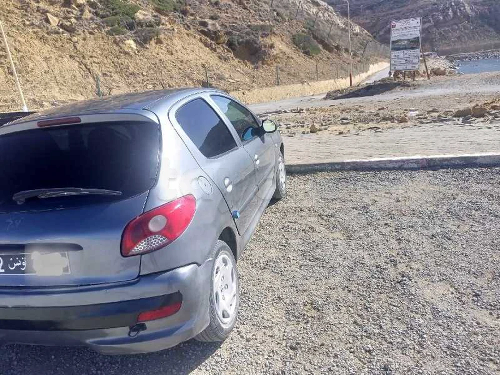 🚦À VENDRE Peugeot 207 1.4L 1ère main !! - Auto PRO Tunisie