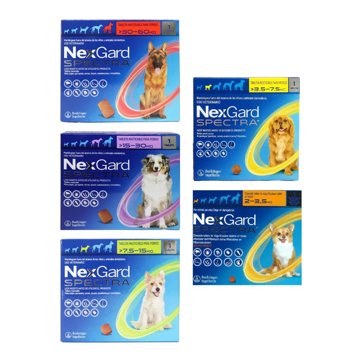NexGard spectra perros