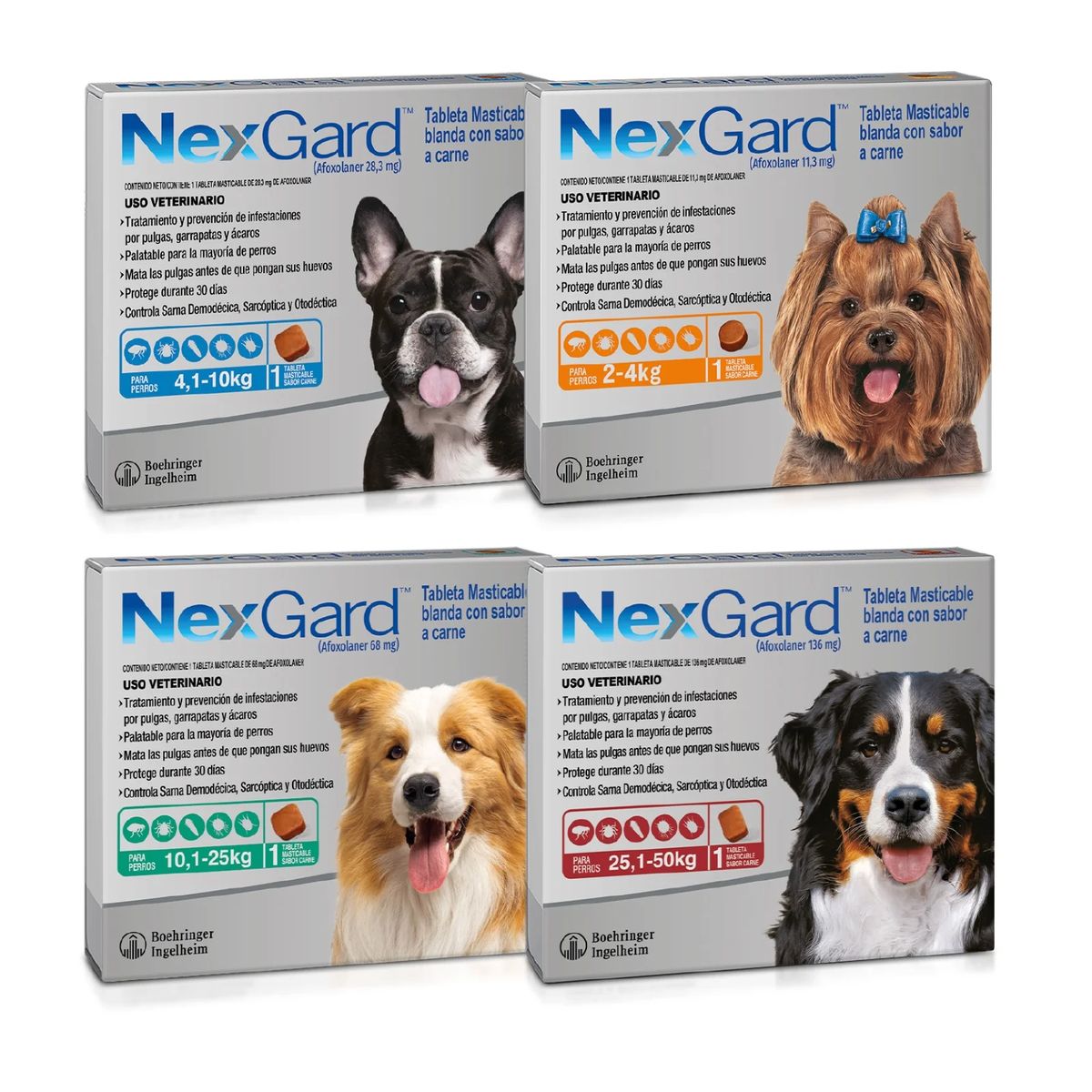 NexGard Antipulgas para Perros