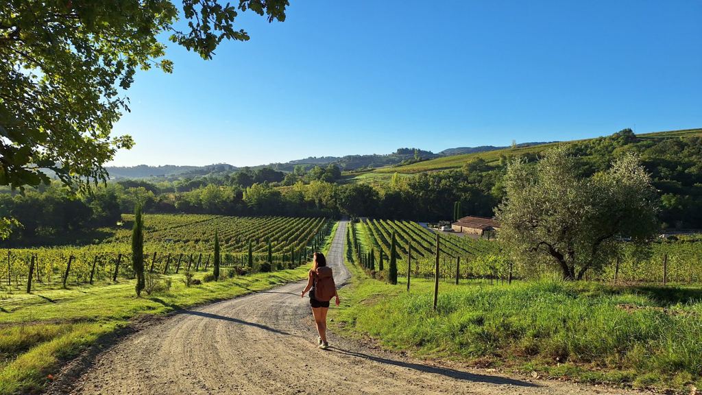 Via Francigena – 400km oт Пиза до Рим