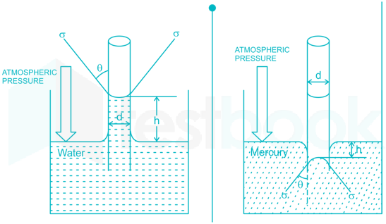 SSC JE ME Fluid Mechanics (31-60) images Q