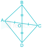 Geo11 Solution dig hindi Reviewed images Q1