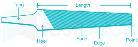 Name the part of the file marked 'X' in the figure.