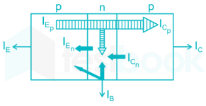 gate EC D1