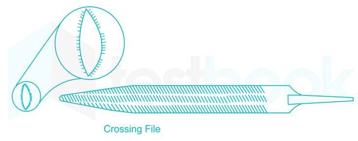 Crossing file