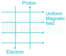 Magnetism ALP Rishi 12Q Part 1 Hindi - Final images Q5