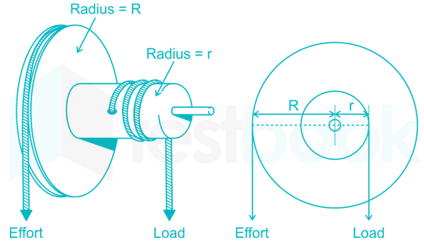 wheel1